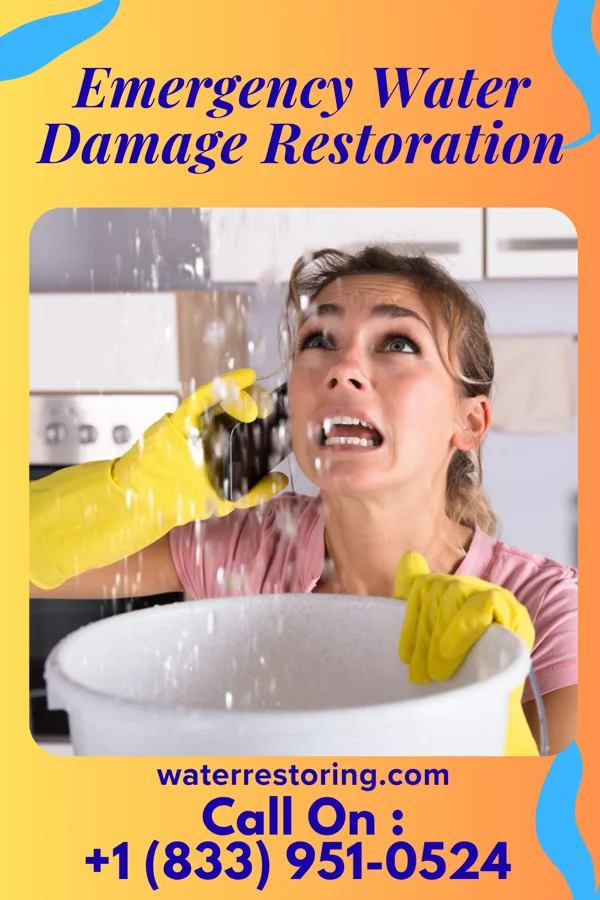Emergency Water Damage Restoration in Gunn City, MO