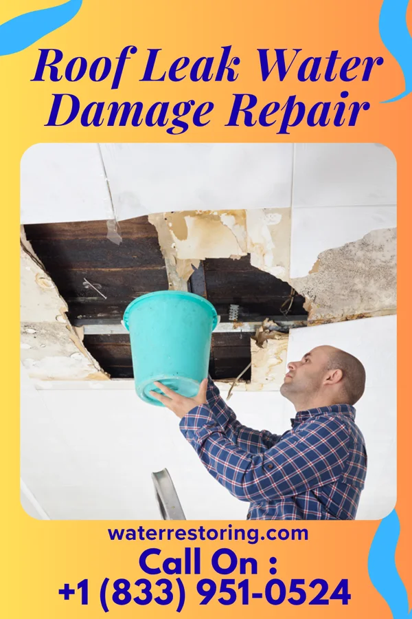 Roof Leak Water Damage Repair in Gunn City, MO